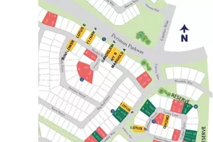 1732 Howler Wy, Montgomery, TX 77316 - Photo 5