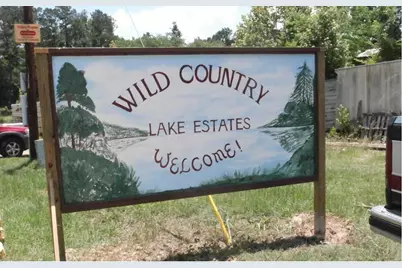 254 Bobby Baer Road, Livingston, TX 77351 - Photo 1