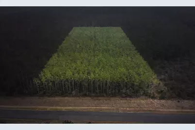 16098 Forest Mill Road, Willis, TX 77378 - Photo 1