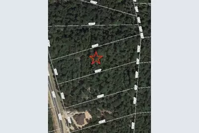 7 Fire Sky Road, Huntsville, TX 77340 - Photo 7