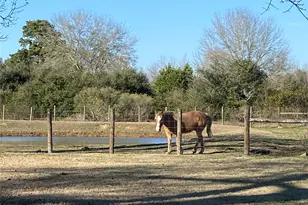 17230 Bell St, Hockley, TX 77447 - Photo 31