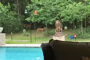 10366 Happy Trail, Conroe, TX 77384 - Photo 35