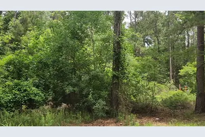 Lot 14 Basswood Lane, Plantersville, TX 77363 - Photo 7