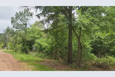 Lot 14 Basswood Lane, Plantersville, TX 77363 - Photo 17