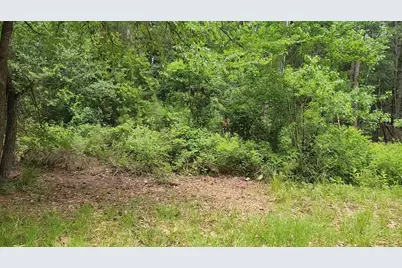 Lot 14 Basswood Lane, Plantersville, TX 77363 - Photo 13