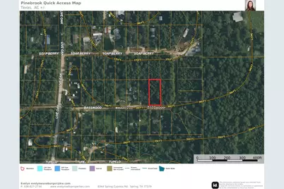 Lot 14 Basswood Lane, Plantersville, TX 77363 - Photo 1