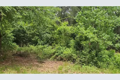 Lot 14 Basswood Lane, Plantersville, TX 77363 - Photo 19