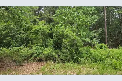 Lot 14 Basswood Lane, Plantersville, TX 77363 - Photo 15