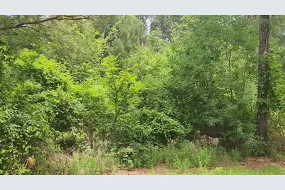 Lot 14 Basswood Lane, Plantersville, TX 77363 - Photo 5