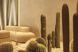 Calle 28 Entre 30 Y 25, Almont, CO 77728 - Photo 3