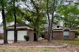40 Country Forest Ct, The Woodlands, TX 77380 - Photo 1