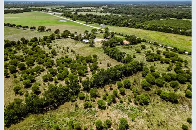 12224 Jinkins Road, North Zulch, TX 77872 - Photo 19