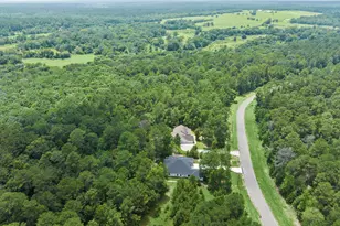 117 Sandpiper Dr, New Waverly, TX 77358 - Photo 45