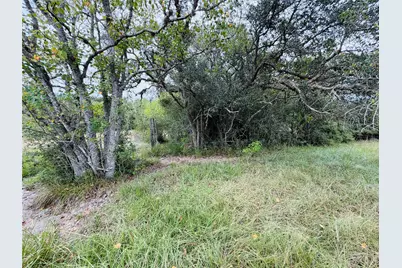 0 County Road 449, West Columbia, TX 77486 - Photo 7