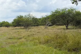0 County Road 449, West Columbia, TX 77486 - Photo 1