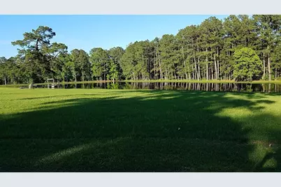 0 Lincoln Wiggins Street, Livingston, TX 77351 - Photo 1