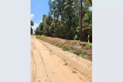 0 Lincoln Wiggins Street, Livingston, TX 77351 - Photo 3