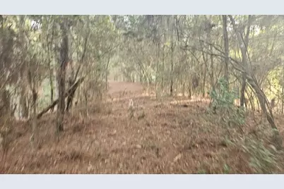 30569 Lake Rd, Waller, TX 77484 - Photo 9