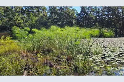 30569 Lake Rd, Waller, TX 77484 - Photo 35