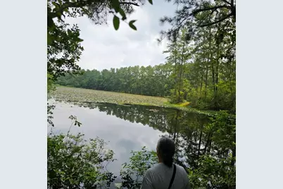 30569 Lake Rd, Waller, TX 77484 - Photo 23