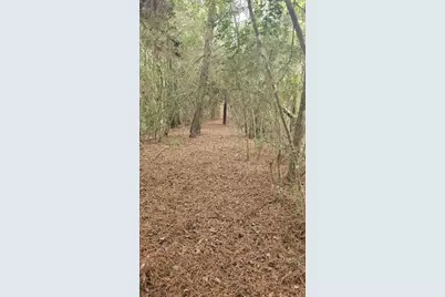 30569 Lake Rd, Waller, TX 77484 - Photo 15