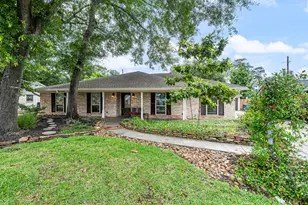28923 Pine Hill Dr, Shenandoah, TX 77381 - Photo 1