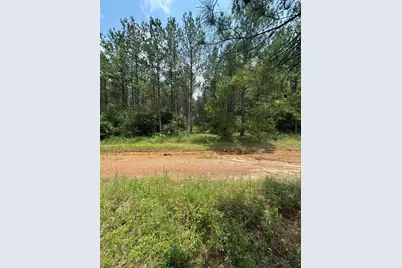 10634 Forest Mill Road, Willis, TX 77378 - Photo 5
