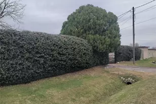 2816 Black St, Houston, TX 77023 - Photo 3