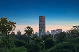 1728 Michigan St, Houston, TX 77006 - Photo 31