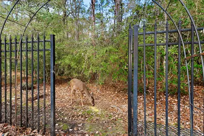 146 E Northcastle Circle, The Woodlands, TX 77384 - Photo 39