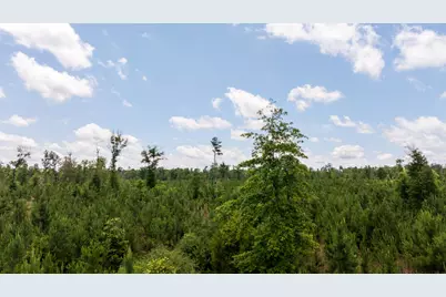 Tbd 18 Cr 4210, Woodville, TX 75979 - Photo 23