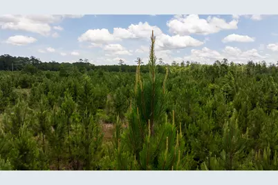 Tbd 18 Cr 4210, Woodville, TX 75979 - Photo 27