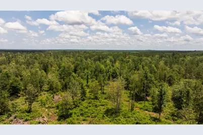Tbd 18 Cr 4210, Woodville, TX 75979 - Photo 25