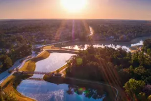 107 West Coralburst Loop, Montgomery, TX 77316 - Photo 3