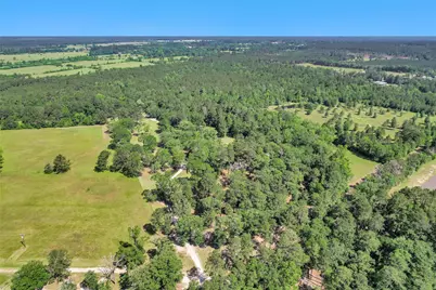 1356 Pegoda Ranch Road, Woodlake, TX 75865 - Photo 41