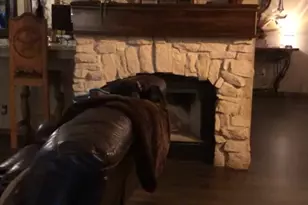 12488 Anderson Rd, Willis, TX 77318 - Photo 29