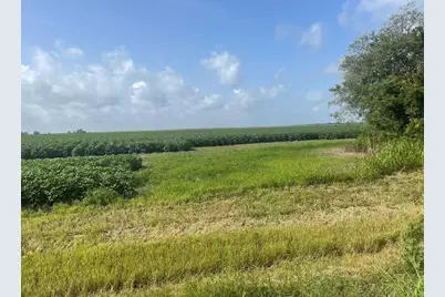 10815 Koym Road, Beasley, TX 77417 - Photo 3