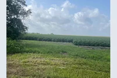 10815 Koym Road, Beasley, TX 77417 - Photo 1