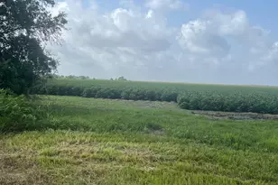10815 Koym Rd, Beasley, TX 77417 - Photo 1