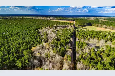 000 Holly Grove Road, Livingston, TX 77351 - Photo 11