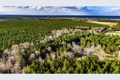 000 Holly Grove Road, Livingston, TX 77351 - Photo 13