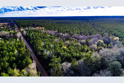 000 Holly Grove Road, Livingston, TX 77351 - Photo 19
