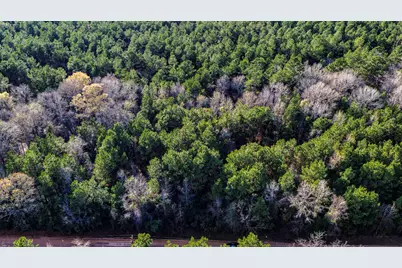 000 Holly Grove Road, Livingston, TX 77351 - Photo 15
