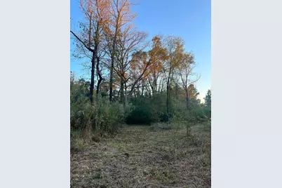 251 Pr 7701, San Augustine, TX 75972 - Photo 9