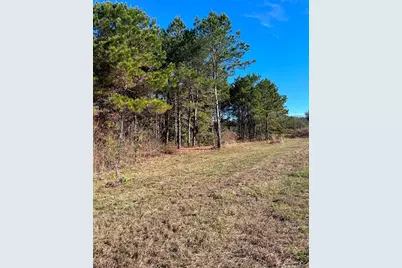 251 Pr 7701, San Augustine, TX 75972 - Photo 7