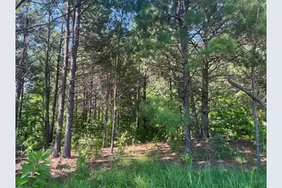 251 Pr 7701, San Augustine, TX 75972 - Photo 3
