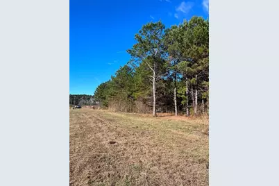 251 Pr 7701, San Augustine, TX 75972 - Photo 5
