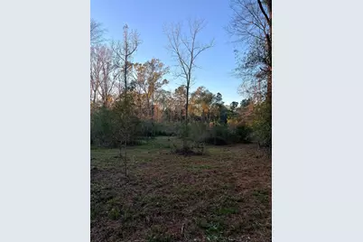 251 Pr 7701, San Augustine, TX 75972 - Photo 11