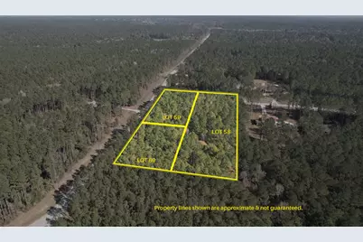 12-22-58 Grey Feather Road, Huntsville, TX 77340 - Photo 1