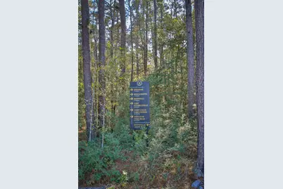 12-22-58 Grey Feather Road, Huntsville, TX 77340 - Photo 21